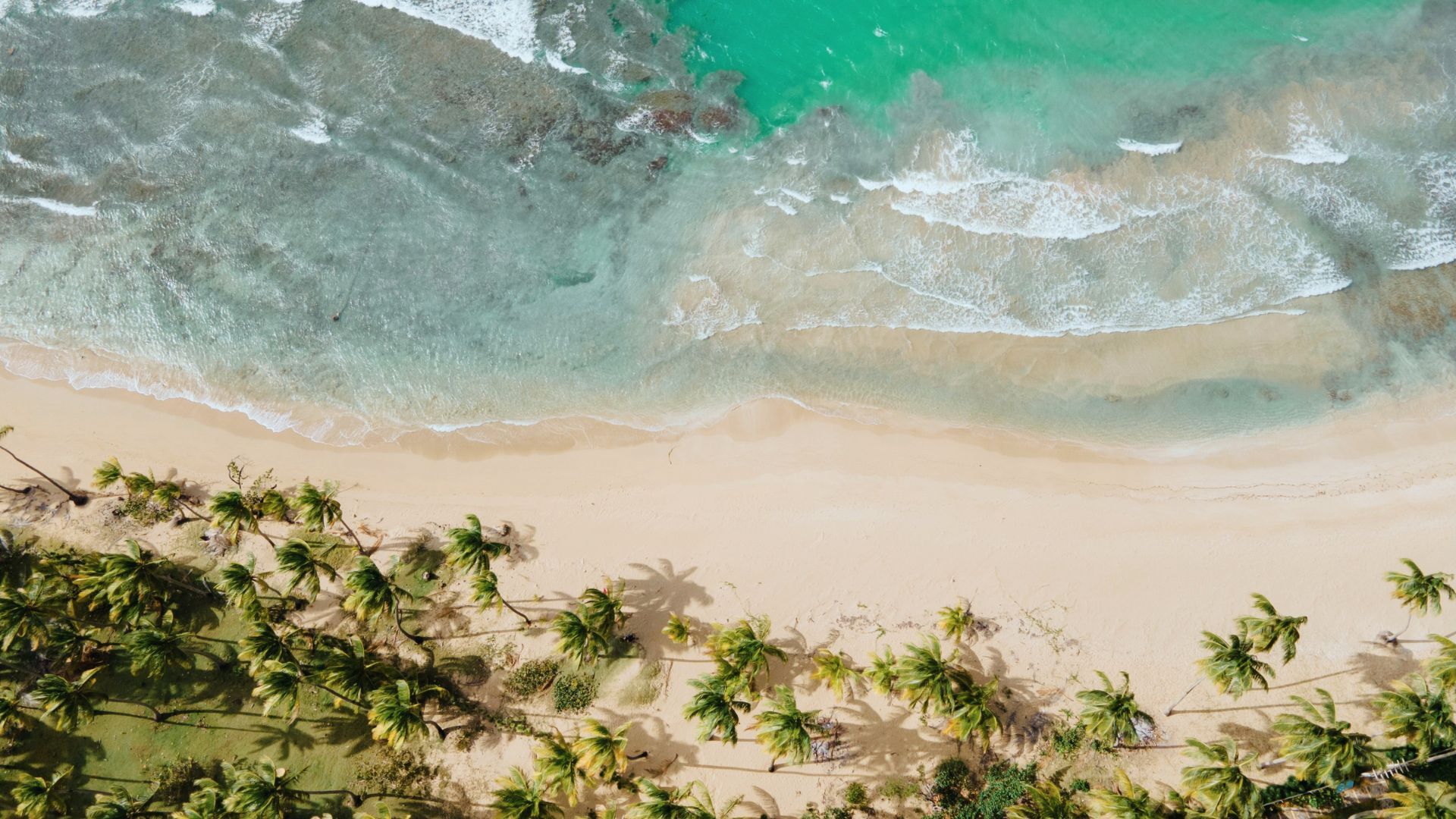 Secret Beaches You Must Visit in the Riviera Maya