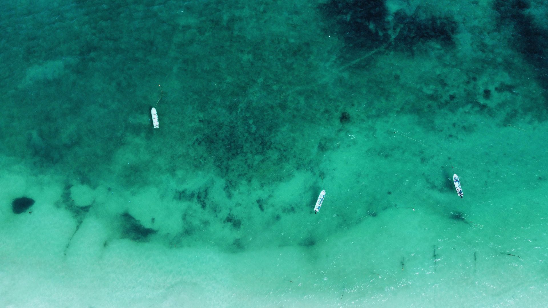 The Best Beaches to Explore in Tulum and the Riviera Maya